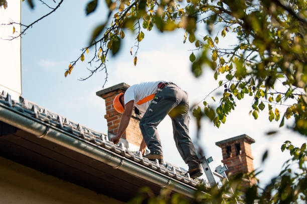 Best Roof Restoration Services  in Sesser, IL