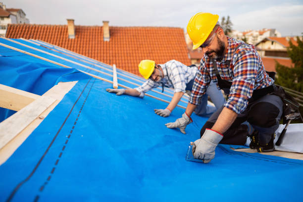 Best Roof Gutter Cleaning  in Sesser, IL