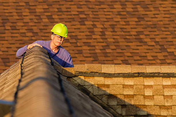 Best Sealant for Roof  in Sesser, IL