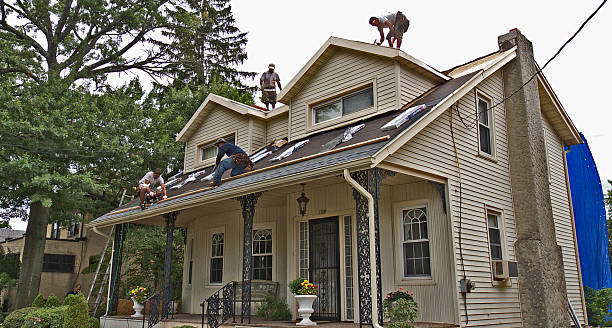 Best Roof Maintenance Services  in Sesser, IL