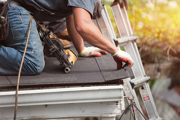 Best Roof Leak Repair  in Sesser, IL