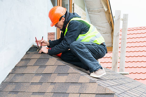 Best Local Roofing Companies  in Sesser, IL