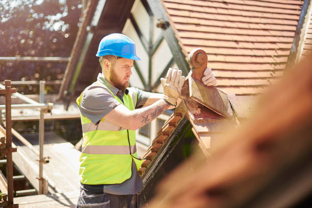Best Best Roofing Contractors  in Sesser, IL