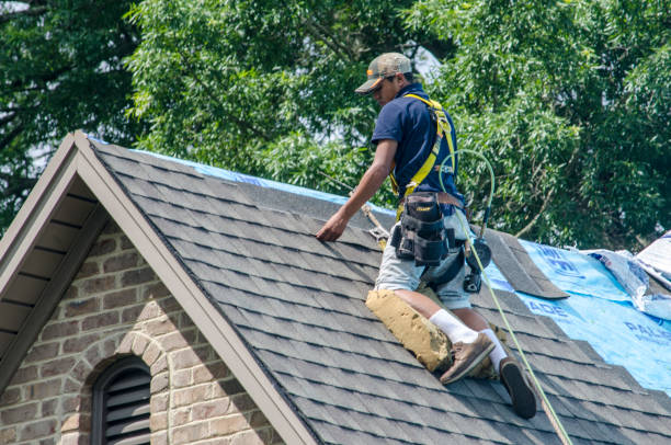Best Commercial Roofing Services  in Sesser, IL