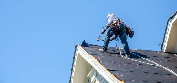 Best New Roof Installation  in Sesser, IL